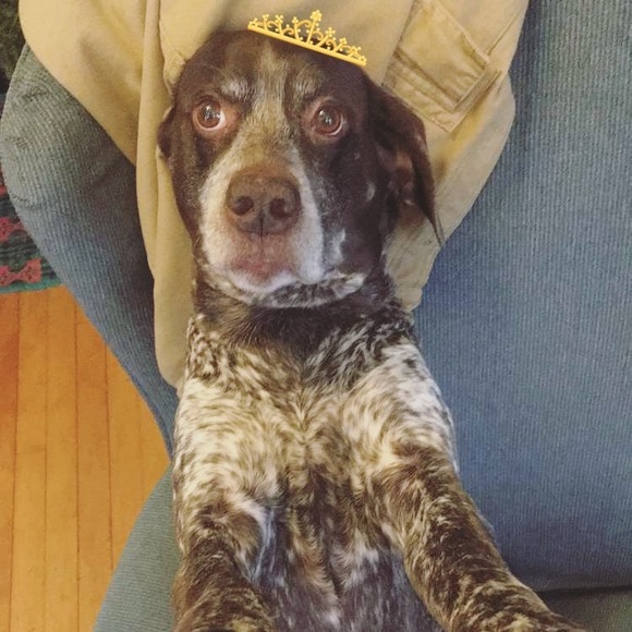 Hello and Welcome to My Closet ๐ - Picture 2 of 4